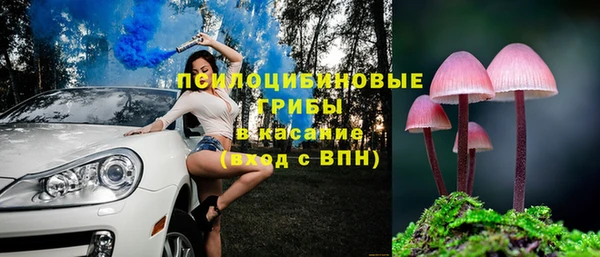 МДПВ Алексеевка