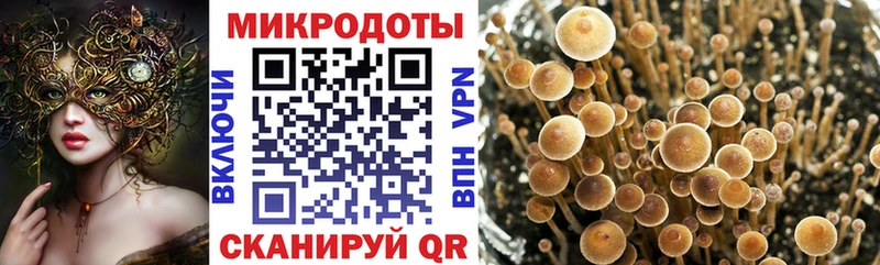 Галлюциногенные грибы ЛСД  Амурск 